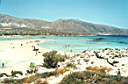 44 Creta la spiaggia di Elafonissi.jpg